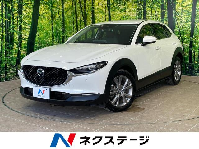 沖縄県の中古車ならＣＸ－３０ ＸＤ　プロアクティブ　１年保証付　禁煙車　衝突軽減装置　全周囲カメラ　マツダコネクトナビ　ドライブレコーダー　ＥＴＣ　フルセグＴＶ　レーダークルーズコントロール　ＬＥＤヘッドライト　クリアランスソナー