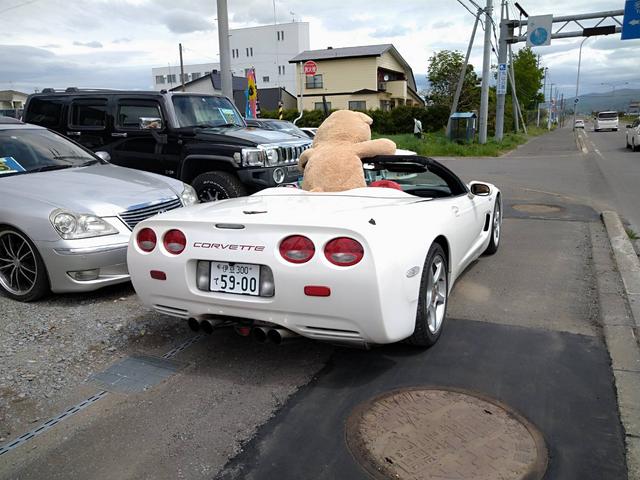 気分次第で熊さんも出てきます！